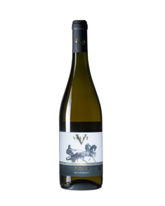 Genvs IGT Lazio Bianco Vulci Di Simoncini