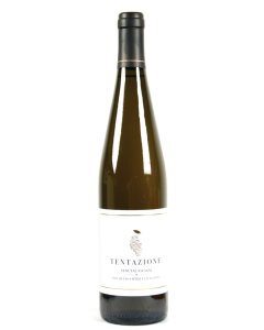 Tentazione Grechetto IGT Civitella d'Agliano Tenuta Casciani