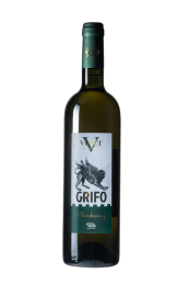 Grifo IGT Lazio Chardonnay